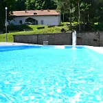 Ezüstfenyő