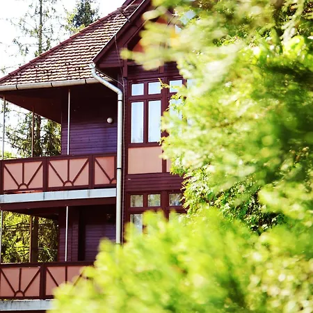 Ezuestfenyo Hotel *