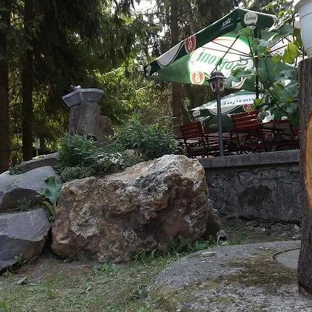Szálloda Ezüstfenyő *