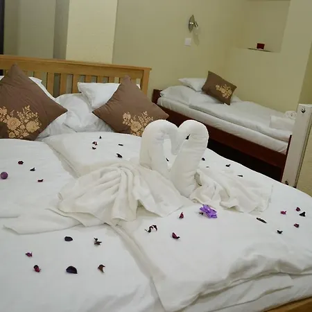 Hotel Ezuestfenyo *