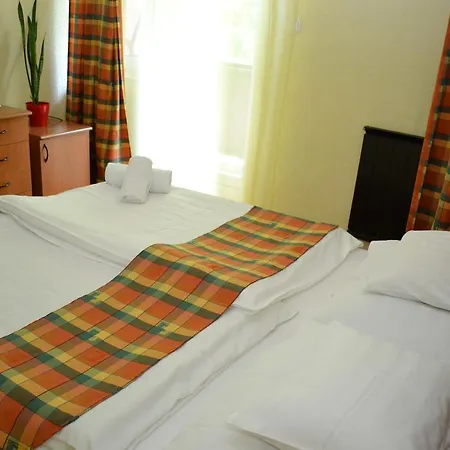 Hotel Ezuestfenyo *