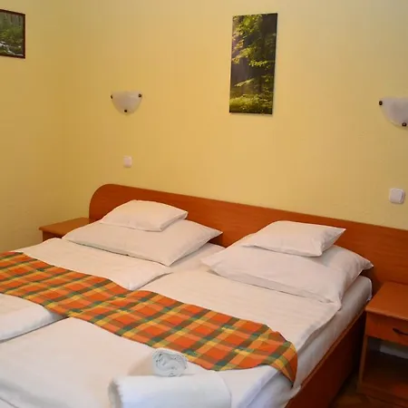 Hotel Ezuestfenyo Telkibanya
