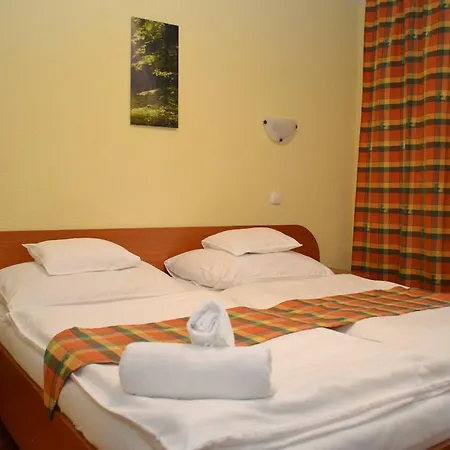 Hotel Ezuestfenyo