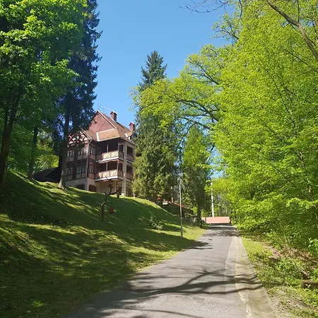 Ezuestfenyo Hotel