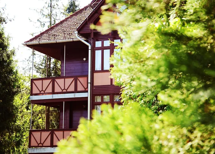 Ezustfenyo فندق *