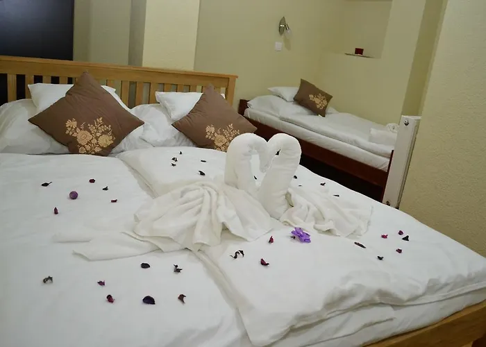 Hotel Ezüstfenyő *