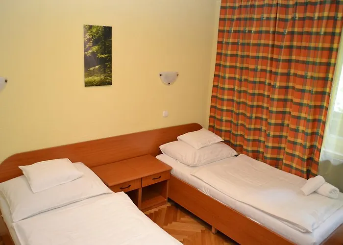Ezüstfenyő