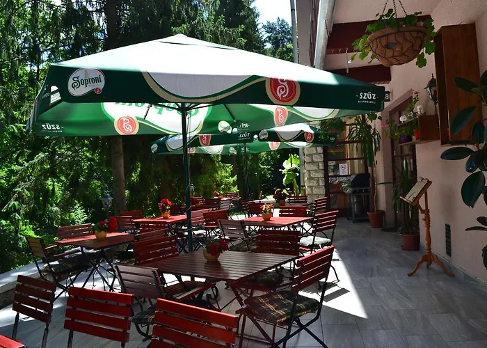 Hotel Ezüstfenyő