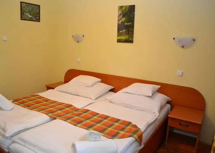 Hotel Ezüstfenyő Telkibánya