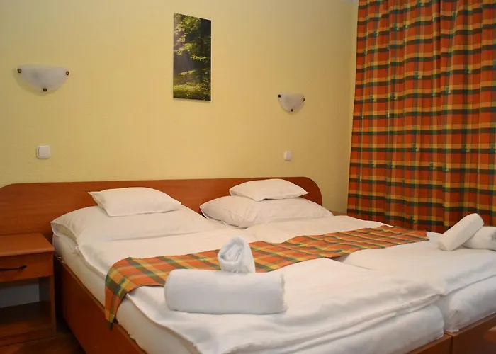 Hotel Ezüstfenyő