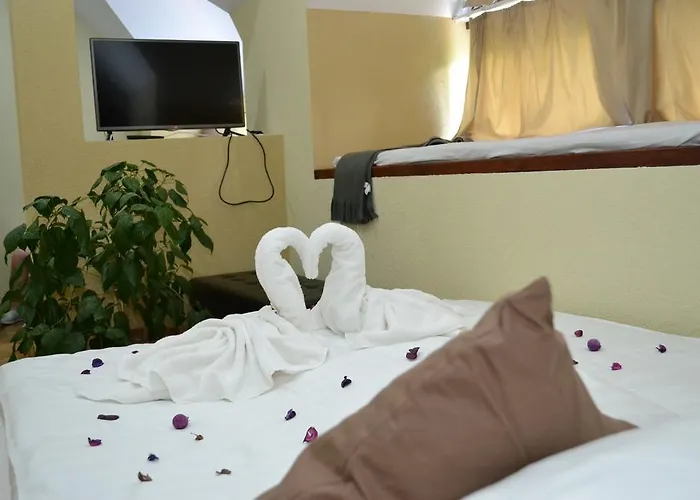 Hotel Ezüstfenyő Telkibánya